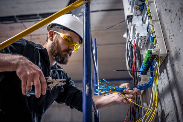 Best Electrical Upgrades for Homes  in Niles, MI